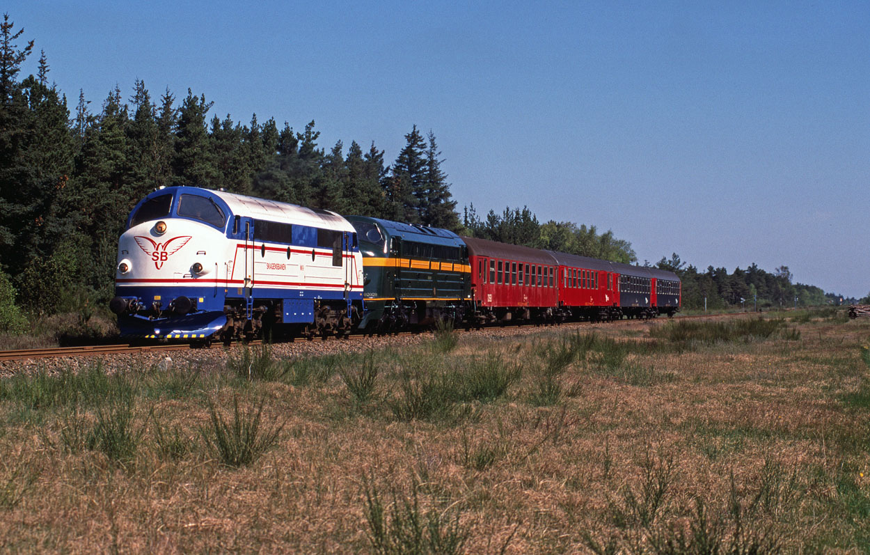 Skagensbanen M 9 and TSP 202.020 provide the traction for a four DSB coach special from Skagen to Frederikshavn at Bunken on 15 May 1999.